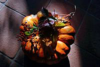 Herbst, bunte Jahreszeit mit Herbstlaub ,Weintrauben, Kastanien, Kürbisse, Nüssen, Eicheln, und vielen mehr!,...