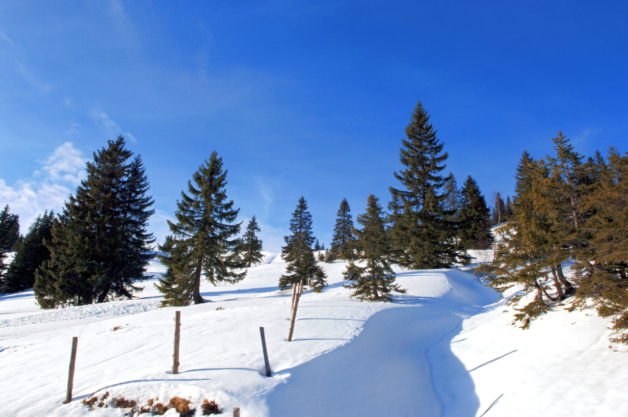 Hörnerbahn nur 7km von Oberstdorf in Bolsterlang längste Höhen-Winterwanderwege im Allgäu mit Berghaus Schwaben