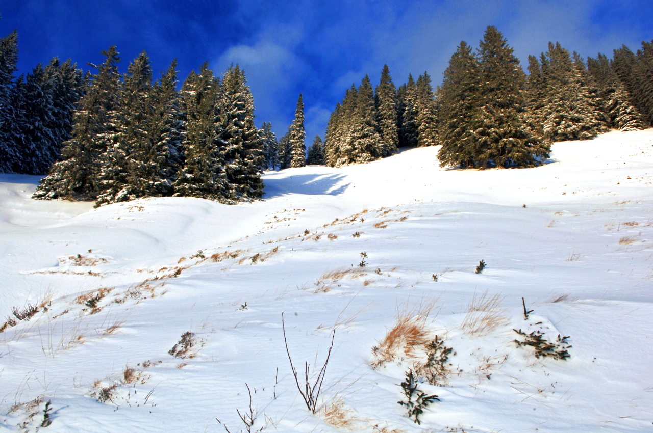 Hörnerbahn nur 7km von Oberstdorf in Bolsterlang längste Höhen-Winterwanderwege im Allgäu mit Berghaus Schwaben