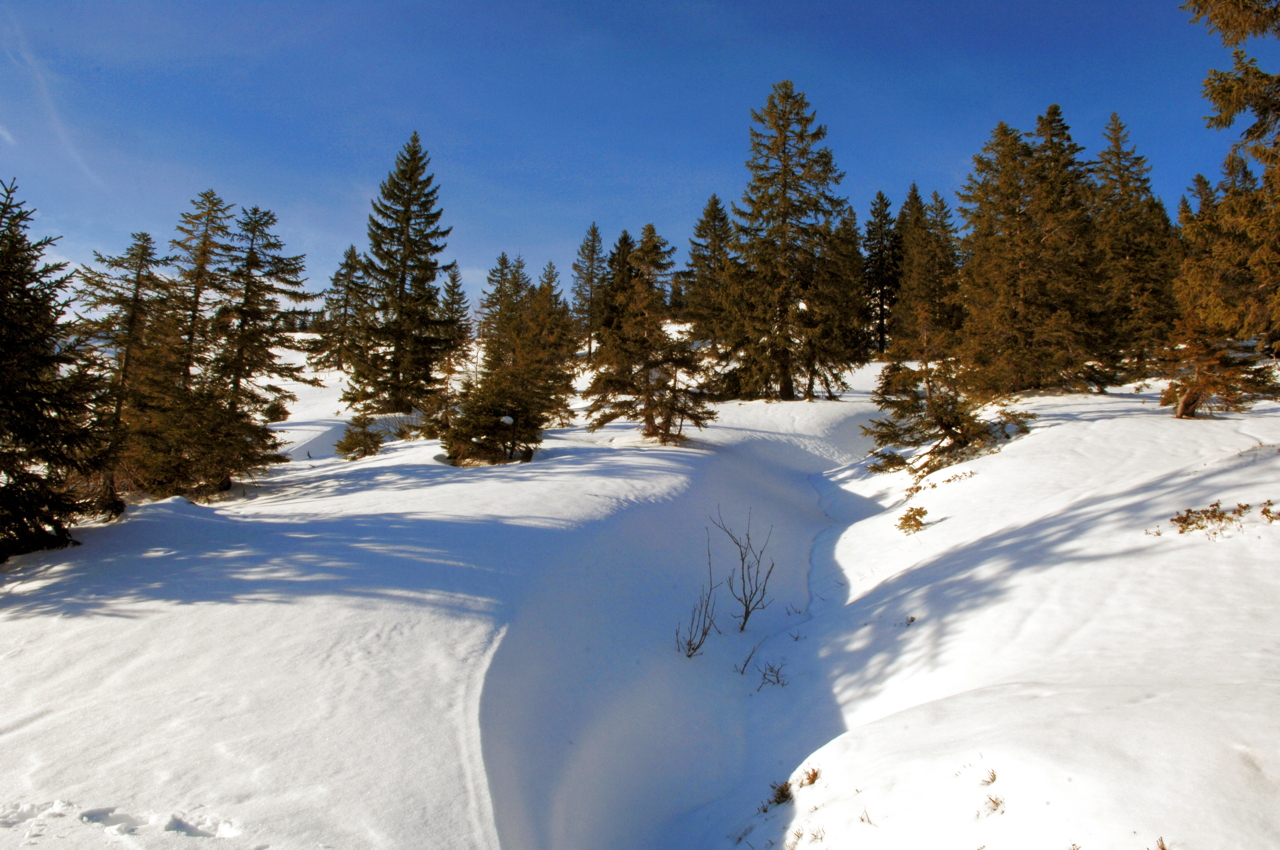 Hörnerbahn nur 7km von Oberstdorf in Bolsterlang längste Höhen-Winterwanderwege im Allgäu mit Berghaus Schwaben