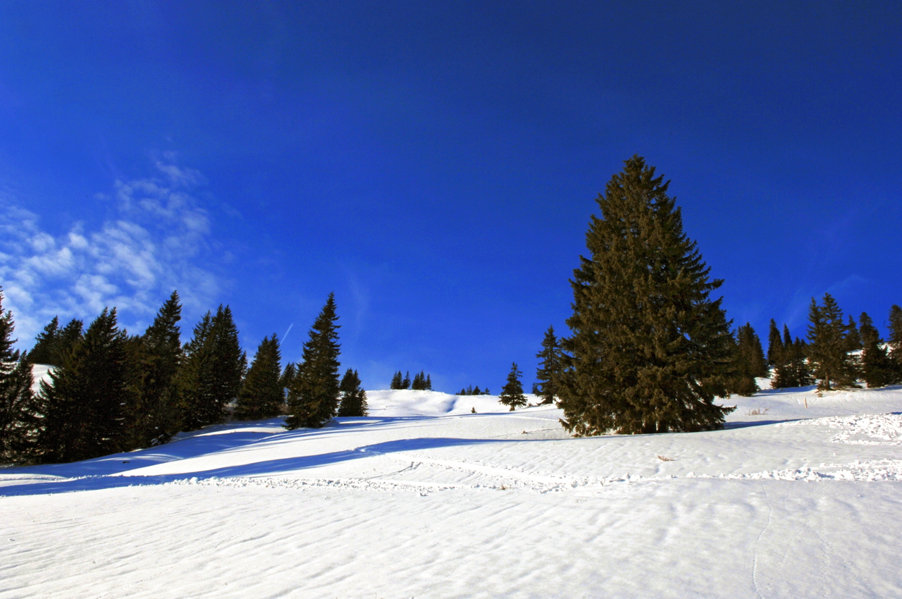 Hörnerbahn nur 7km von Oberstdorf in Bolsterlang längste Höhen-Winterwanderwege im Allgäu mit Berghaus Schwaben