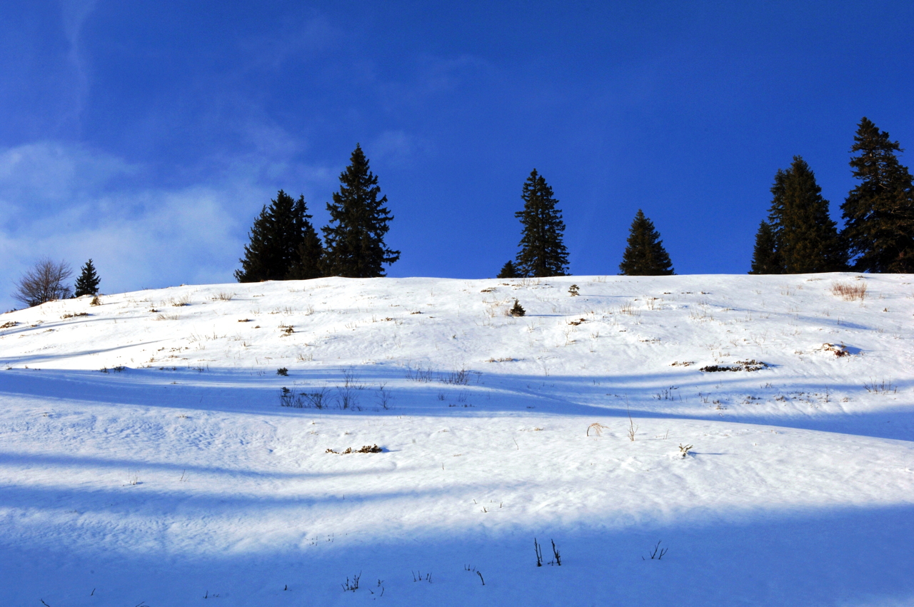 Hörnerbahn nur 7km von Oberstdorf in Bolsterlang längste Höhen-Winterwanderwege im Allgäu mit Berghaus Schwaben