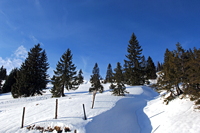 Hörnerbahn nur 7km von Oberstdorf in Bolsterlang längste Höhen-Winterwanderwege im Allgäu mit Berghaus Schwaben