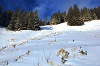 Hörnerbahn nur 7km von Oberstdorf in Bolsterlang längste Höhen-Winterwanderwege im Allgäu mit Berghaus Schwaben