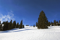 Hörnerbahn nur 7km von Oberstdorf in Bolsterlang längste Höhen-Winterwanderwege im Allgäu mit Berghaus Schwaben