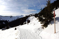 Hörnerbahn nur 7km von Oberstdorf in Bolsterlang längste Höhen-Winterwanderwege im Allgäu mit Berghaus Schwaben