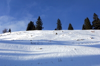 Hörnerbahn nur 7km von Oberstdorf in Bolsterlang längste Höhen-Winterwanderwege im Allgäu mit Berghaus Schwaben