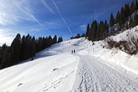 Hörnerbahn nur 7km von Oberstdorf in Bolsterlang längste Höhen-Winterwanderwege im Allgäu mit Berghaus Schwaben