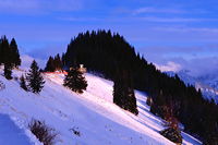 Hörnerbahn nur 7km von Oberstdorf in Bolsterlang längste Höhen-Winterwanderwege im Allgäu mit Berghaus Schwaben