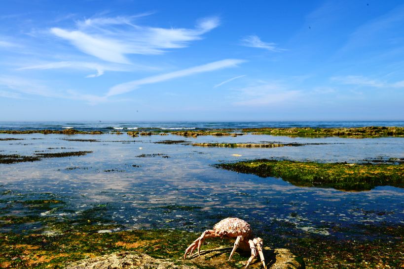 Île d’Oléron Insel des Lichts, mit Saint-Pierre, La Cotiniere, Le Château, Dolus, Saint-Denis, Saint-Georges, Le Grand-Village-Plage, Boyardville, Saint-Trojan-les-Bains und  La Brée les Bains 