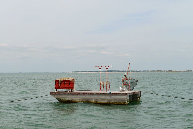 Île d’Oléron Insel des Lichts, mit Saint-Pierre, La Cotiniere, Le Château, Dolus, Saint-Denis, Saint-Georges, Le Grand-Village-Plage, Boyardville, Saint-Trojan-les-Bains und  La Brée les Bains 