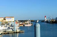 Île d’Oléron Insel des Lichts, mit Saint-Pierre, La Cotiniere, Le Château, Dolus, Saint-Denis, Saint-Georges, Le Grand-Village-Plage, Boyardville, Saint-Trojan-les-Bains und  La Brée les Bains 