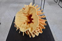 Intonation Deidesheimer Kunsttage, internationales Symposium um die keramische Kunst und Ausstellung in der Schlossmanufaktur.