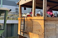 Auf zur Merfeller Kerb 2025 es ist wieder Kerwezeit mit den Merfeller Kerweborschen und der Kerweumzug durch Mörfelden