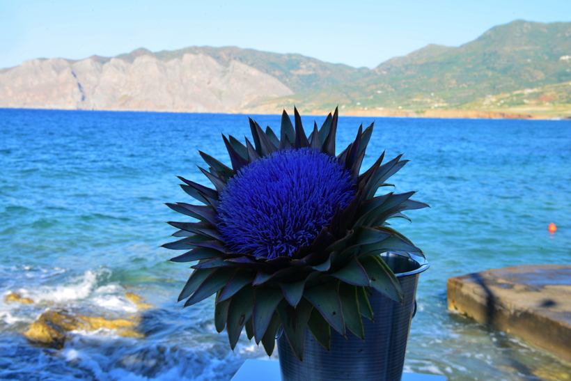 Griechenland Insel Kreta Mochlos Insel Agios Nikolaos Nordostküste Sitia Vai Palm Beach
