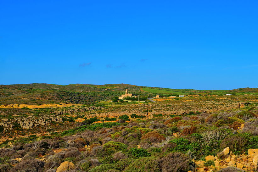 Griechenland Insel Kreta Mochlos Insel Agios Nikolaos Nordostküste Sitia Vai Palm Beach