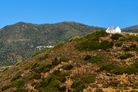 Griechenland Insel Kreta Mochlos Insel Agios Nikolaos Nordostküste Sitia Vai Palm Beach