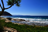 Griechenland Insel Kreta Mochlos Insel Agios Nikolaos Nordostküste Sitia Vai Palm Beach