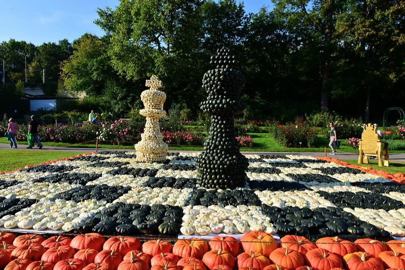 Weltgrößte Kürbisausstellung in Ludwigsburg im Blühenden Barock