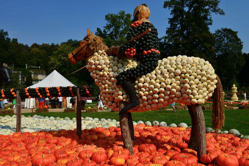 Weltgrößte Kürbisausstellung in Ludwigsburg im Blühenden Barock