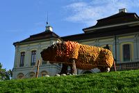 Weltgrößte Kürbisausstellung in Ludwigsburg im Blühenden Barock
