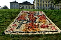Weltgrößte Kürbisausstellung in Ludwigsburg im Blühenden Barock