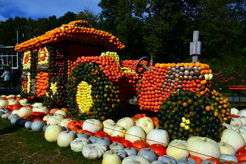 Weltgrößte Kürbisausstellung in Ludwigsburg im Blühenden Barock. Thema 2016: Manege frei im Kürbis-Zirkus!