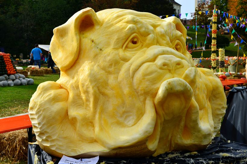 Weltgrößte Kürbisausstellung in Ludwigsburg im Blühenden Barock. Thema 2016: Manege frei im Kürbis-Zirkus!