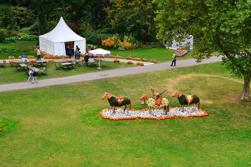 Weltgrößte Kürbisausstellung in Ludwigsburg im Blühenden Barock. Thema 2016: Manege frei im Kürbis-Zirkus!