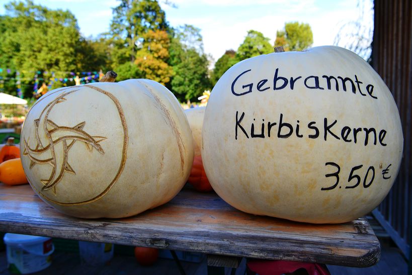 Weltgrößte Kürbisausstellung in Ludwigsburg im Blühenden Barock. Thema 2016: Manege frei im Kürbis-Zirkus!