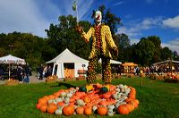 Weltgrößte Kürbisausstellung in Ludwigsburg im Blühenden Barock. Thema 2016: Manege frei im Kürbis-Zirkus!