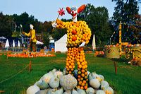 Weltgrößte Kürbisausstellung in Ludwigsburg im Blühenden Barock. Thema 2016: Manege frei im Kürbis-Zirkus!