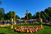 Weltgrößte Kürbisausstellung in Ludwigsburg im Blühenden Barock. Thema 2016: Manege frei im Kürbis-Zirkus!