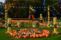 Weltgrößte Kürbisausstellung in Ludwigsburg im Blühenden Barock. Thema 2016: Manege frei im Kürbis-Zirkus!