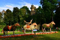 Weltgrößte Kürbisausstellung in Ludwigsburg im Blühenden Barock. Thema 2016: Manege frei im Kürbis-Zirkus!