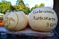 Weltgrößte Kürbisausstellung in Ludwigsburg im Blühenden Barock. Thema 2016: Manege frei im Kürbis-Zirkus!