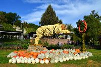 Weltgrößte Kürbisausstellung in Ludwigsburg im Blühenden Barock. Thema 2016: Manege frei im Kürbis-Zirkus!