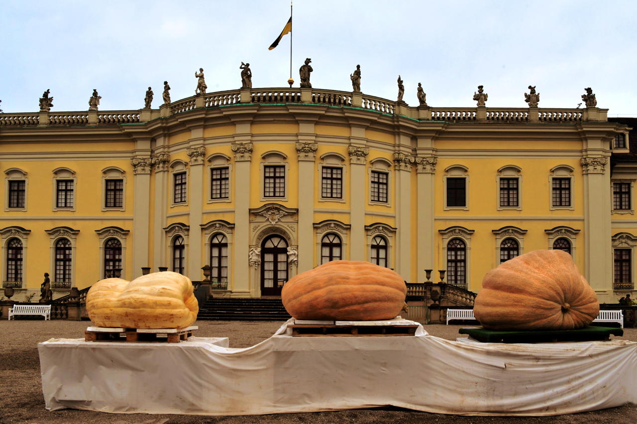 Weltgrößte Kürbisausstellung in Ludwigsburg im Blühenden Barock. Thema 2021 Unterwasser.das Kürbisspektakel mit imposanten Figuren und leuchtende Traumpfade. 