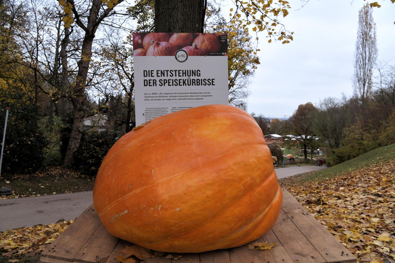 Weltgrößte Kürbisausstellung in Ludwigsburg im Blühenden Barock. Thema 2021 Unterwasser.das Kürbisspektakel mit imposanten Figuren und leuchtende Traumpfade. 