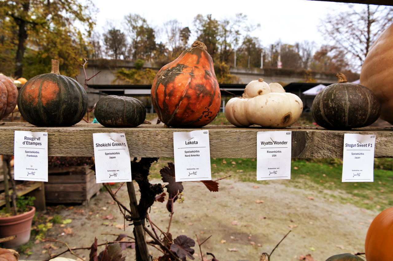 Weltgrößte Kürbisausstellung in Ludwigsburg im Blühenden Barock. Thema 2021 Unterwasser.das Kürbisspektakel mit imposanten Figuren und leuchtende Traumpfade.