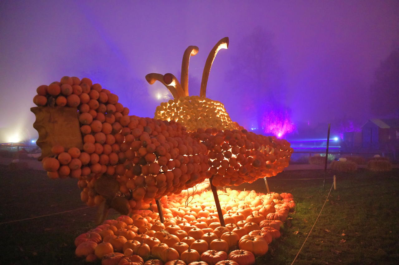 Weltgrößte Kürbisausstellung in Ludwigsburg im Blühenden Barock. Thema 2021 Unterwasser.das Kürbisspektakel mit imposanten Figuren und leuchtende Traumpfade.