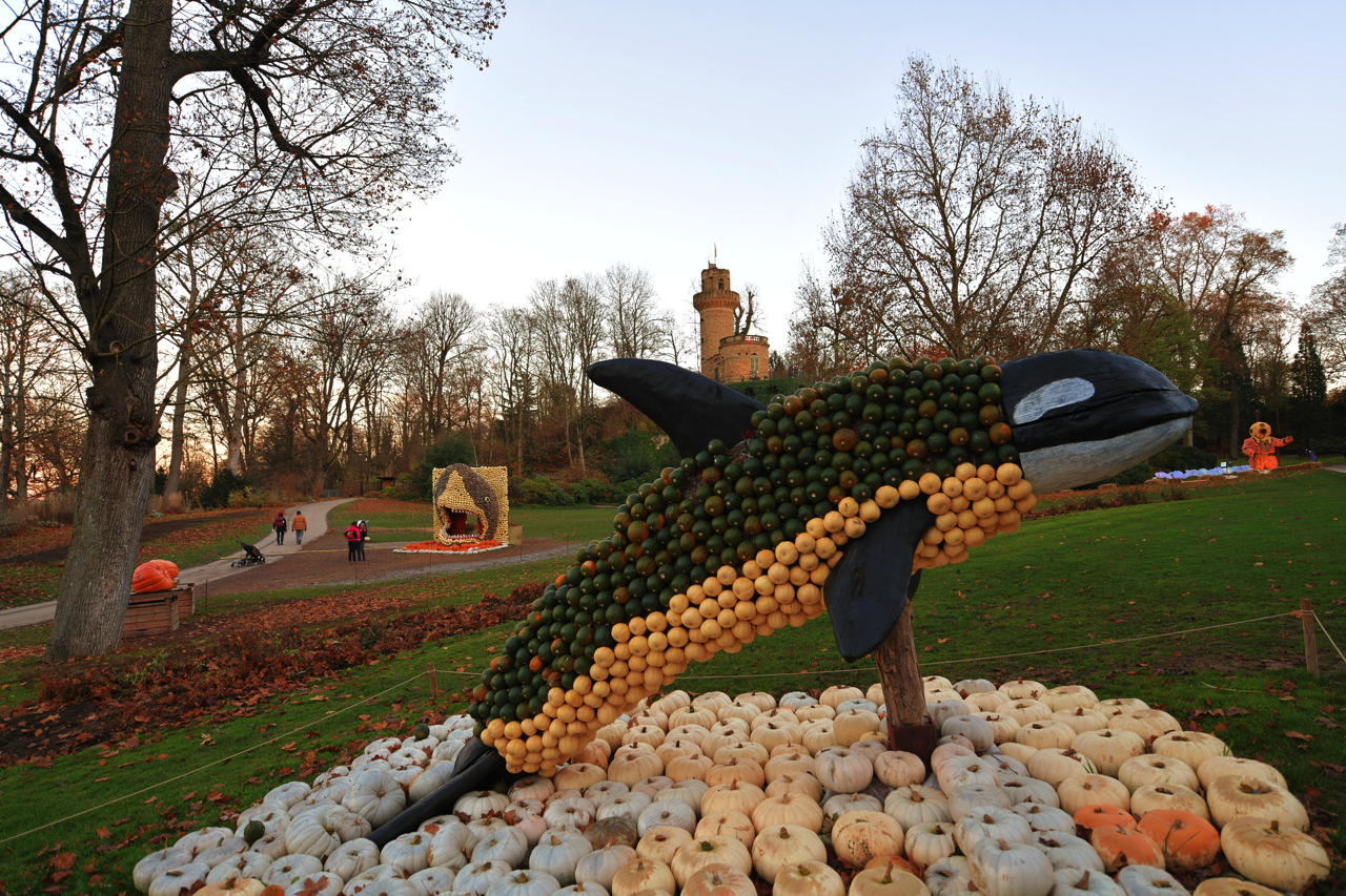 Weltgrößte Kürbisausstellung in Ludwigsburg im Blühenden Barock. Thema 2021 Unterwasser.das Kürbisspektakel mit imposanten Figuren und leuchtende Traumpfade.