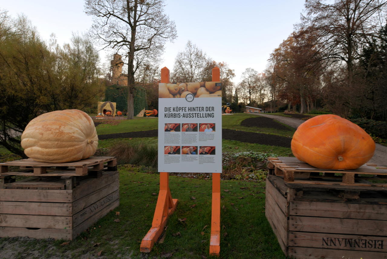 Weltgrößte Kürbisausstellung in Ludwigsburg im Blühenden Barock. Thema 2021 Unterwasser.das Kürbisspektakel mit imposanten Figuren und leuchtende Traumpfade.