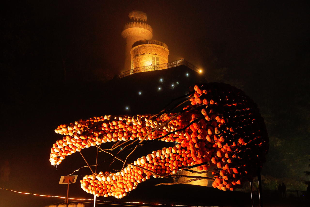 Weltgrößte Kürbisausstellung in Ludwigsburg im Blühenden Barock. Thema 2021 Unterwasser.das Kürbisspektakel mit imposanten Figuren und leuchtende Traumpfade.