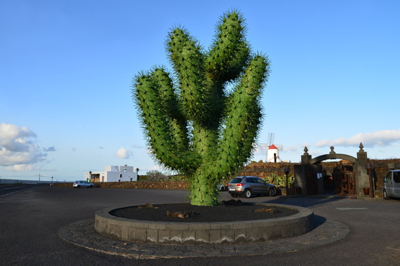 Lanzarote Guatiza Jardín de Cactus Kaktusgarten César Manrique 