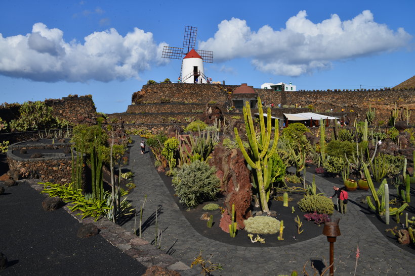 Lanzarote Guatiza Jardín de Cactus Kaktusgarten César Manrique 