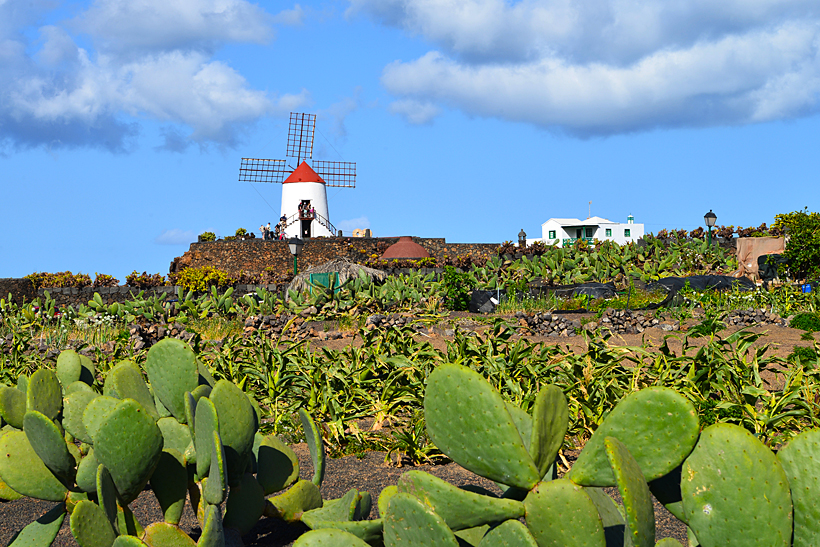 Lanzarote Guatiza Jardín de Cactus Kaktusgarten César Manrique 