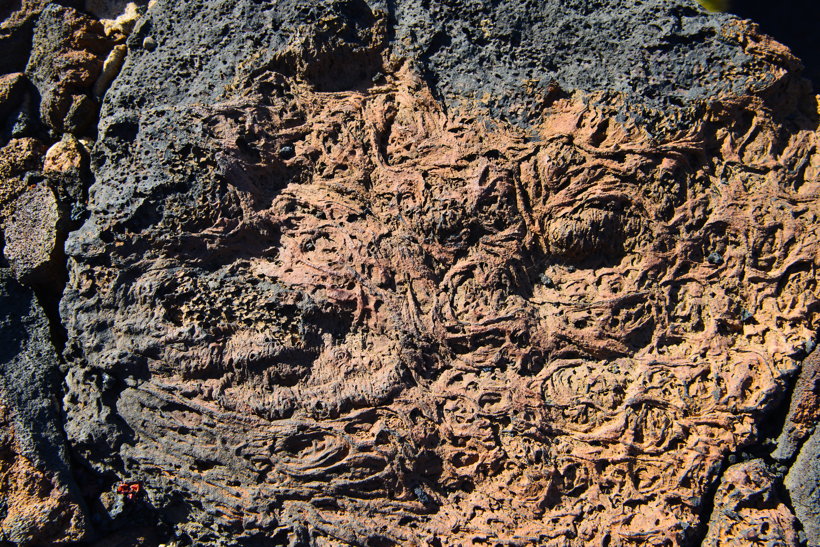 Lanzarote Guatiza Jardín de Cactus Kaktusgarten César Manrique 