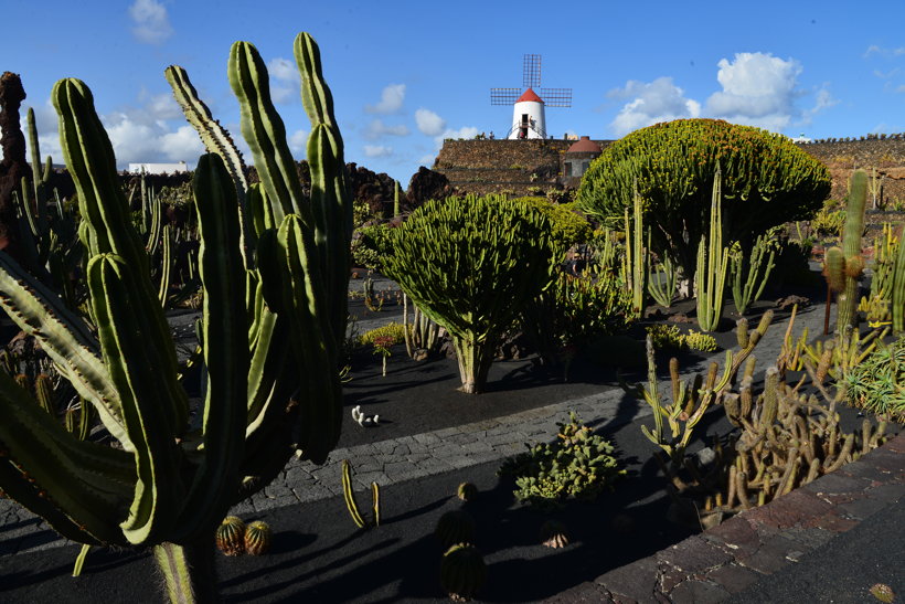 Lanzarote Guatiza Jardín de Cactus Kaktusgarten César Manrique 