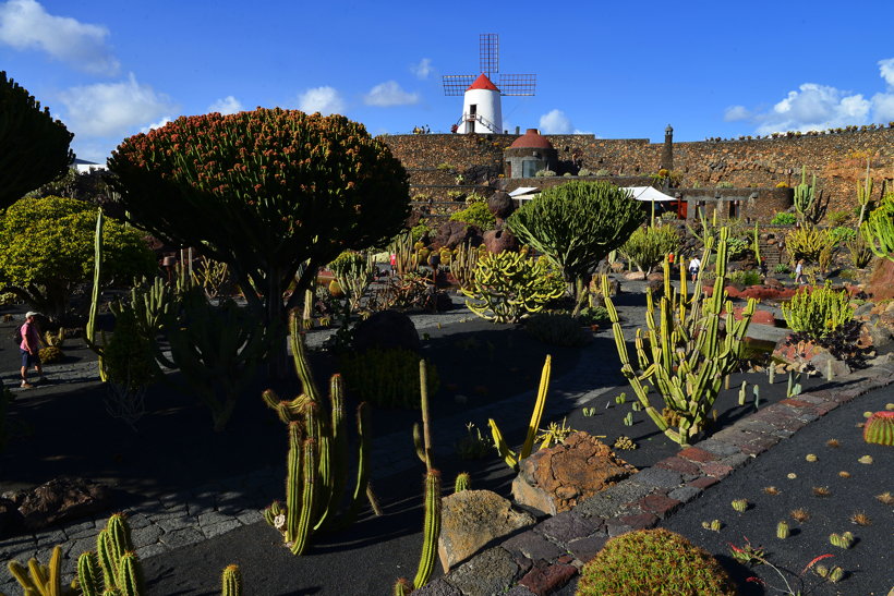 Lanzarote Guatiza Jardín de Cactus Kaktusgarten César Manrique 